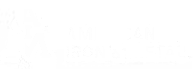 American Iron and Metal Inc