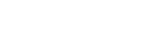 American Iron and Metal Inc
